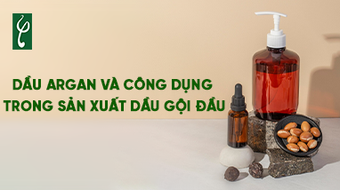 DẦU ARGAN VÀ CÔNG DỤNG TRONG SẢN XUẤT DẦU GỘI ĐẦU