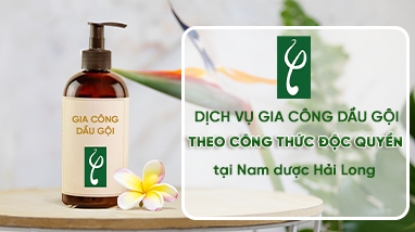 DỊCH VỤ GIA CÔNG DẦU GỘI THEO CÔNG THỨC ĐỘC QUYỀN TẠI NAM DƯỢC HẢI LONG