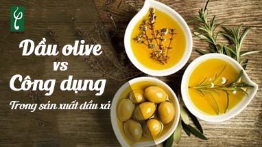 DẦU OLIVE VÀ CÔNG DỤNG TRONG SẢN XUẤT DẦU XẢ