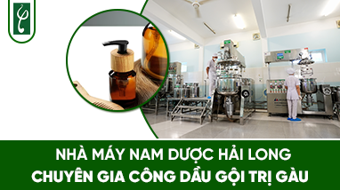 NHÀ MÁY NAM DƯỢC HẢI LONG CHUYÊN GIA CÔNG DẦU GỘI TRỊ GÀU