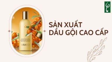 SẢN XUẤT DẦU GỘI CAO CẤP CHO SPA