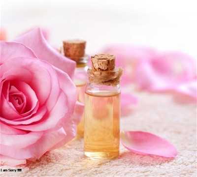 Những lý do bạn nên có một chai nước hoa hồng trong túi xách