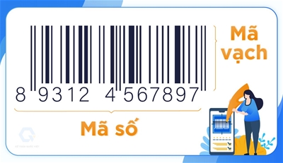 ĐĂNG KÝ MÃ SỐ, MÃ VẠCH CHO SẢN PHẨM