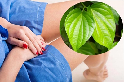 HƯỚNG DẪN VỆ SINH VÙNG KÍN BẰNG LÁ TRẦU KHÔNG ĐÚNG CÁCH