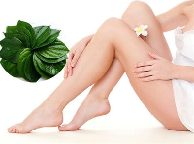 Công dụng chăm sóc vùng kín của lá trầu không